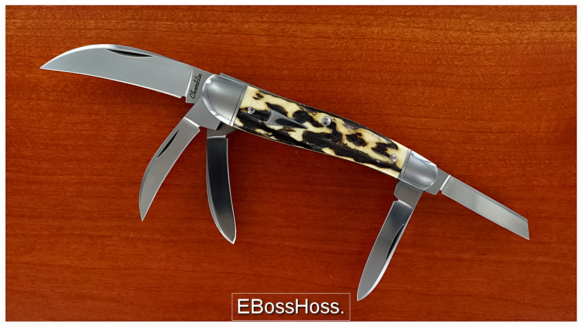 Joel Chamblin 5-Blade Rogers