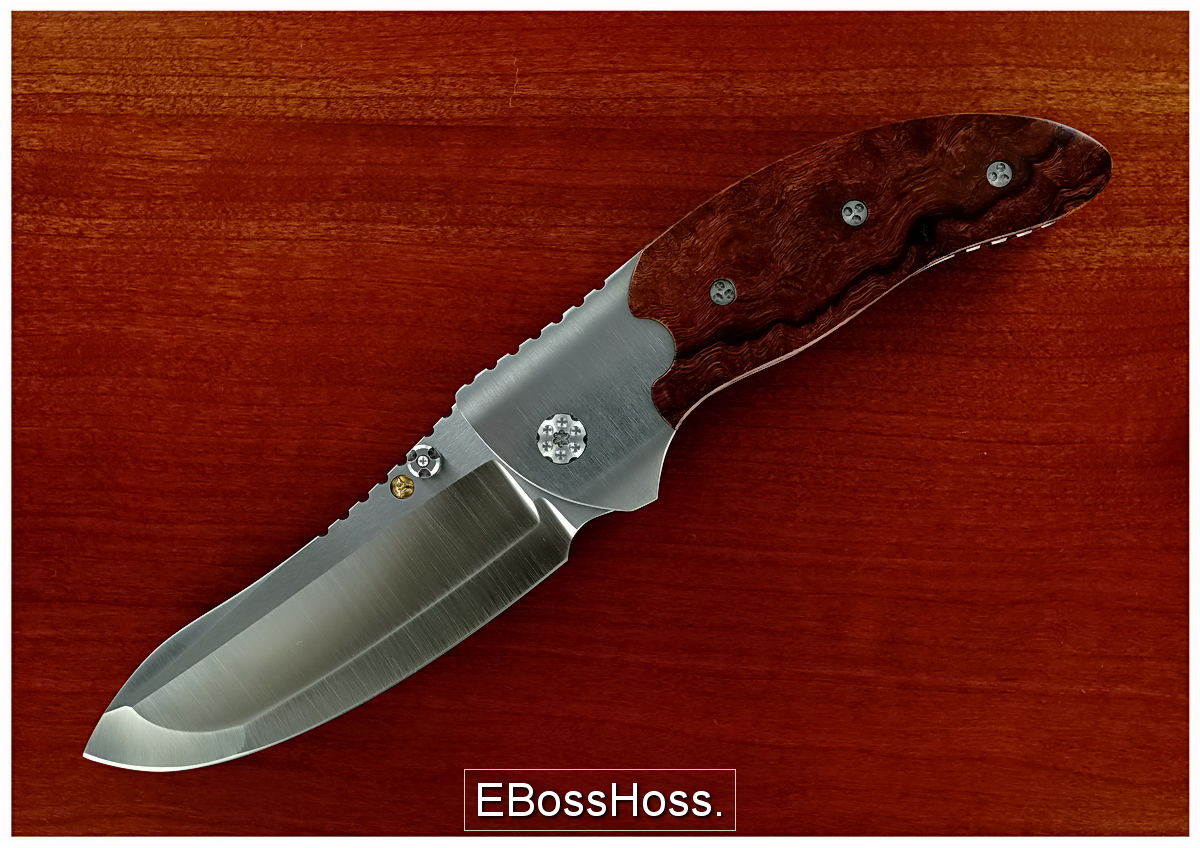 Allen Elishewitz / Wilson Tactical Suppressor
