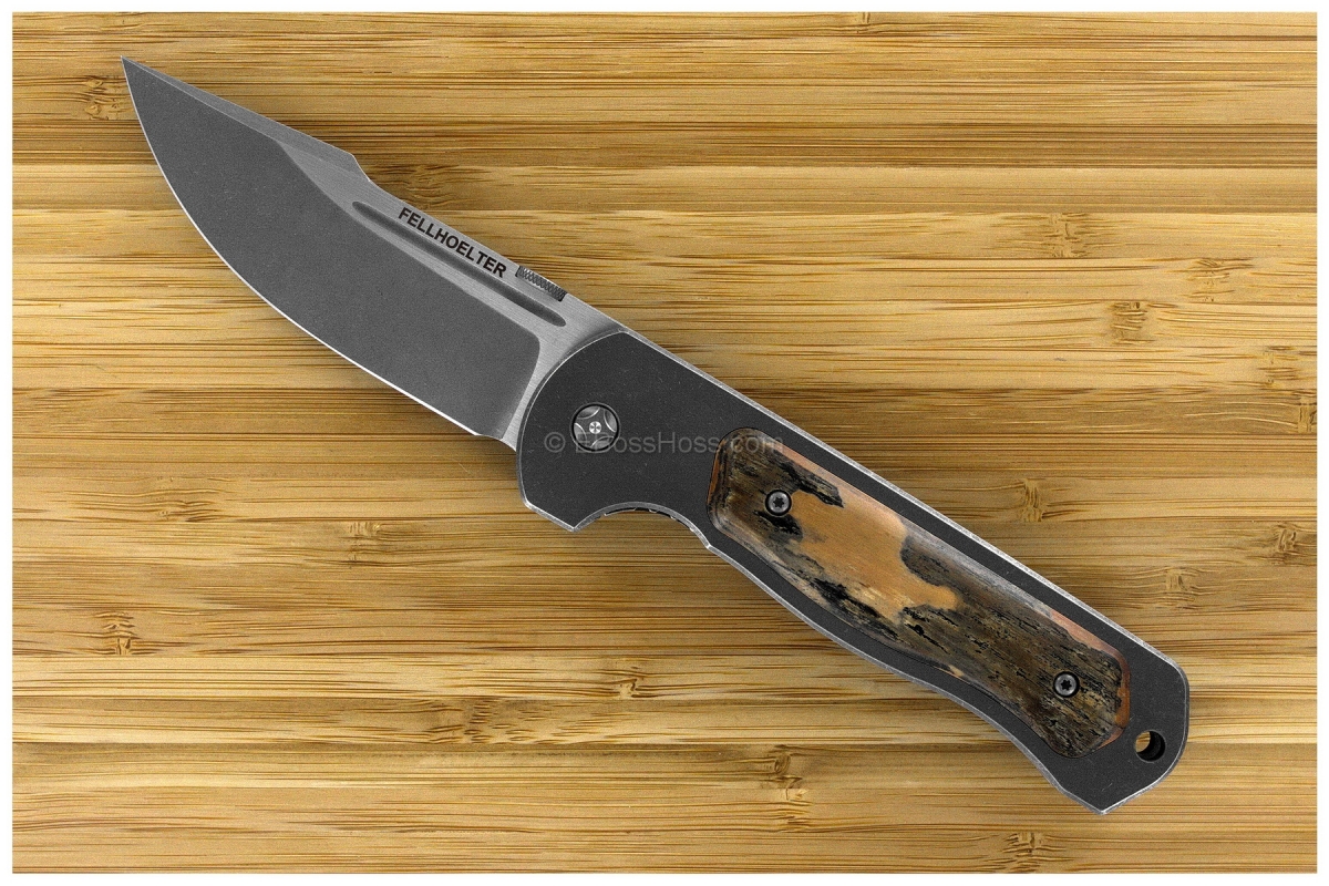 Brian Fellhoelter Mammoth FTR V3