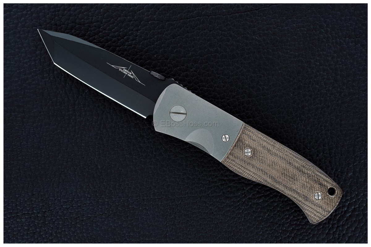 Ernie Emerson Early Garage Custom CQC-7