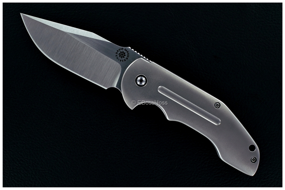 David Mosier Custom Fusion Framelock Flipper w/ IKBS
